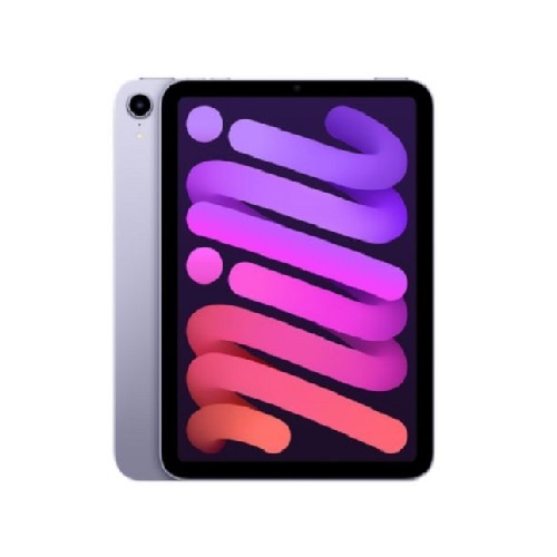 iPad Mini 6 2021 Purple